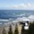 Snapper-Rocks