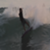 fccc1e730e73b2960b85ca5162f2134e