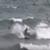 979f074cad941e7e1ccecb7fbaafdb50