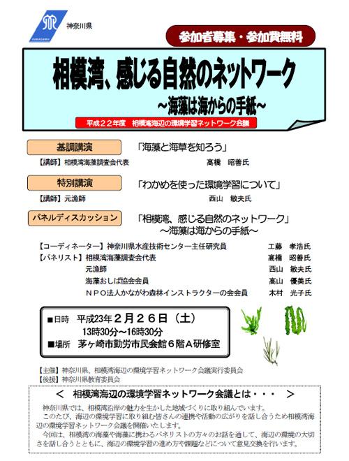 相模湾 海辺の環境学習ネットワーク会議 Bcm波情報 サーフィン波予想 波予報 動画サイト