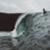 Mick-Fanning-Ireland