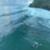 Surf-Days-Average-Joes-Show-The-Pros-WSL-Finals-Day-Burleigh-Heads-10-May-2025