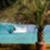 Wavegarden-The-Cove-1