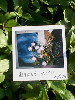 1162777449_20061104090432