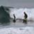 Yadin-Nicol-surfing-with-his-kid