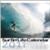 SurfinLifeCalendar2011a