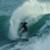 Taylor-Knox