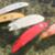 Ryan-Burch-surfboards