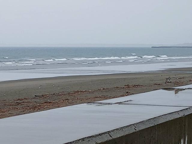 鹿島右