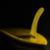 The-Aureus-Lux-Surfboards