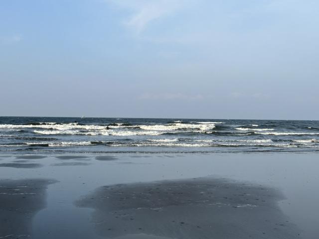 江の水2