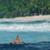 Kelly-Slater-Restaurants