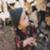 HO16-Life-M-Beanie-Lil_Heist-01-WEB