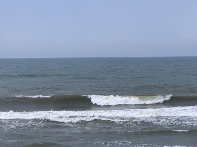 メロン1