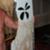 Surfboard-bitten-by-a-shark