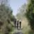 Wade-Goodall-and-The-King