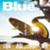 Blue83_cover_L