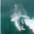 ff91f090c6a8c1708a5fa3bfa03a61ea