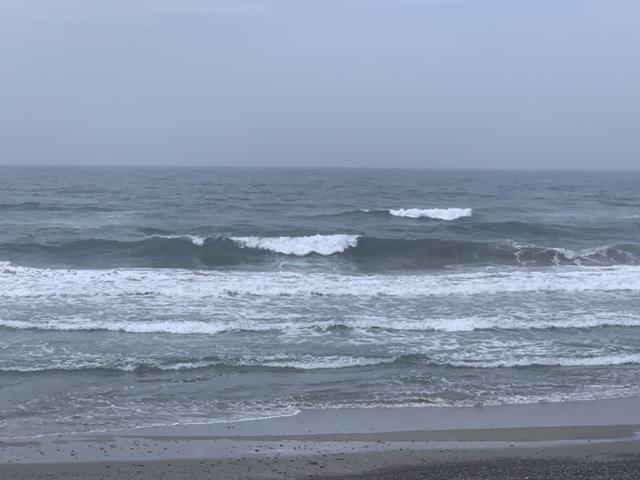メロン3