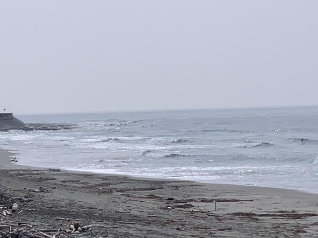 メロン3