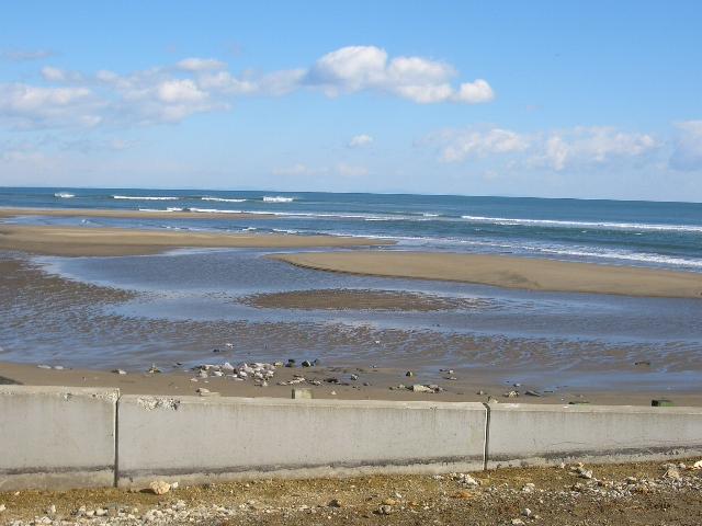 arahama20120312c