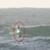 Dolphin-hit-surfer