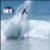 World-Surf-League-All-the-9s-since-17-Lexus-US-Open-of-Surfing-_5bjnbtRjEY-944x531-0m07s