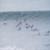 Surf-Raw-Files-PadangPadang-West-Swell-Deep-Tubes-RAWFILES-04OCTOBER2025-nBQZDM5CeWY-853x480-0m17s