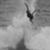 bae13b9e55f446db4efa4240bca26aee