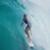coco-ho