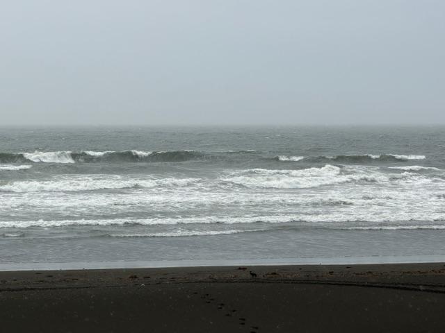 鵠沼西部駐車場前0410