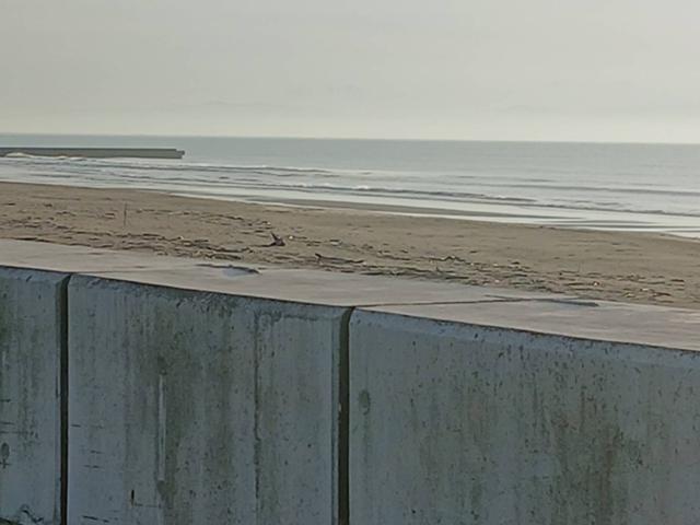 鹿島1