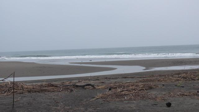 花籠河口