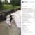 Kanoa-Igarashi-river-surfing-at-Austria