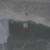 vlcsnap-2024-02-27-11h10m00s635