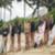 Rip-Curl-Women