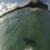 Mitch-Hargreaves-Shark-AUS
