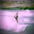 dff781c5f4280338d90995ab90356d42