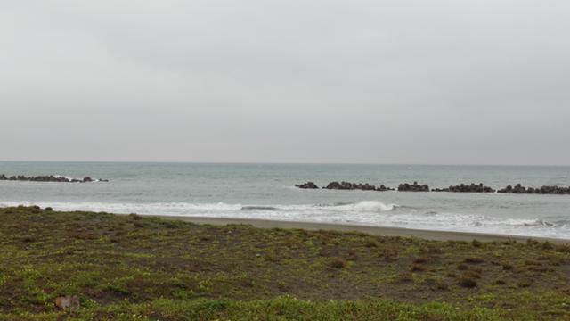 いすみ2