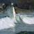Filipe-Toledo-small-beachies-