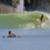 Bethany-Hamilton-Family