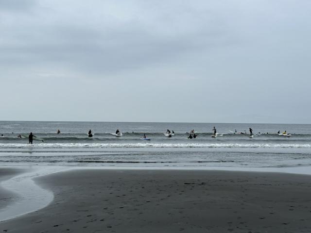 鵠沼1