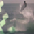 6655e7ad34e61cd0ffdb9ea222730ea1