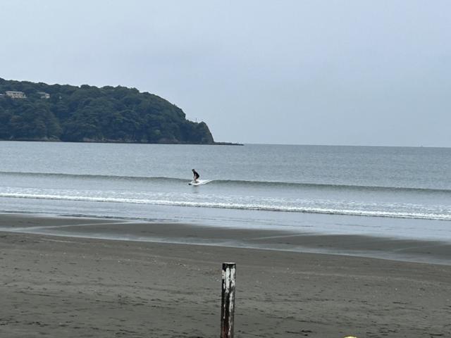 江の水1