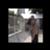 d0e823f4aef8a06038003bb5e92272ce