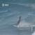 kelly-slater-backdoor