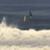 William-Aliotti-Nixon-Pro-Team