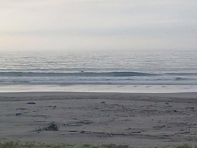 鹿島2
