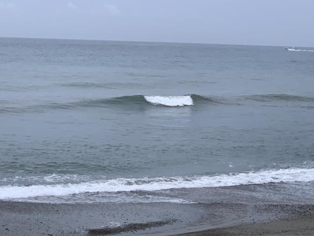 メロン1