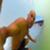 Kelly-Slater-GoPro